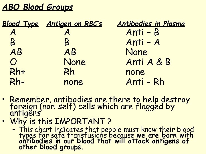 ABO Blood Groups Blood Type A B AB O Rh+ Rh- Antigen on RBC’s