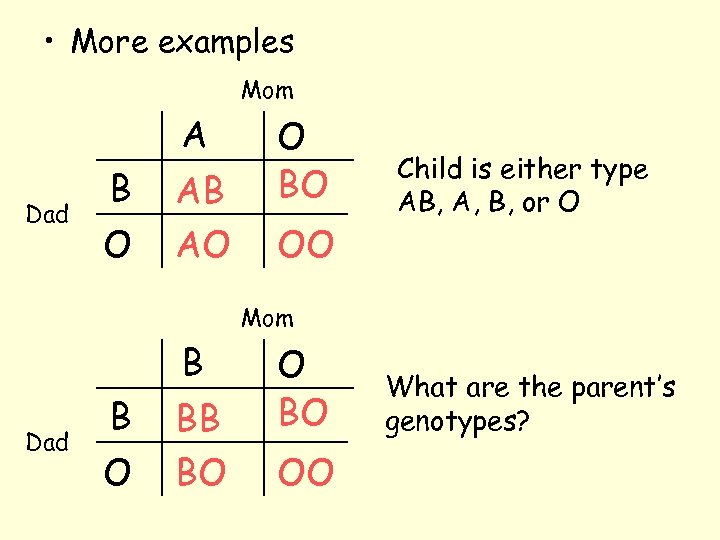  • More examples Mom A Dad B O AB AO O BO OO