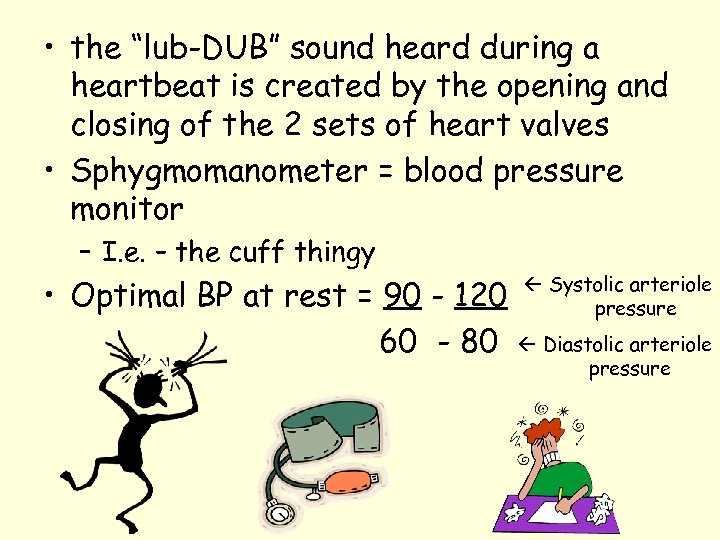  • the “lub-DUB” sound heard during a heartbeat is created by the opening