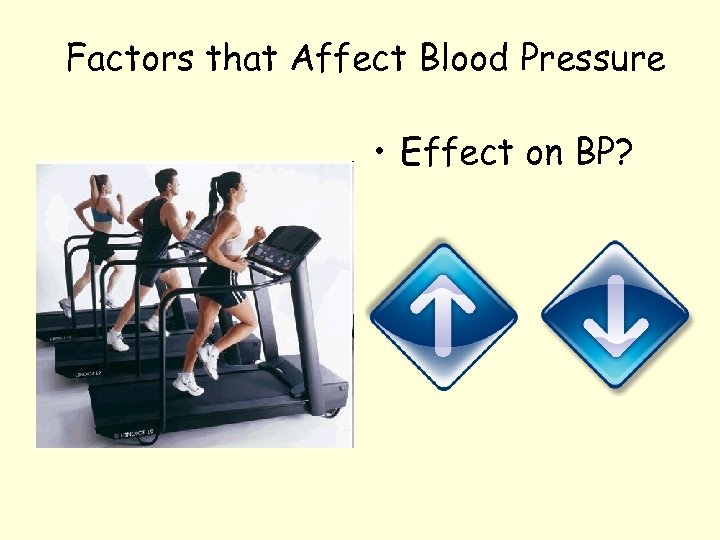 Factors that Affect Blood Pressure • Effect on BP? 