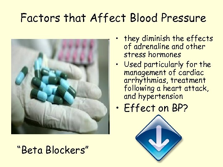 Factors that Affect Blood Pressure • they diminish the effects of adrenaline and other
