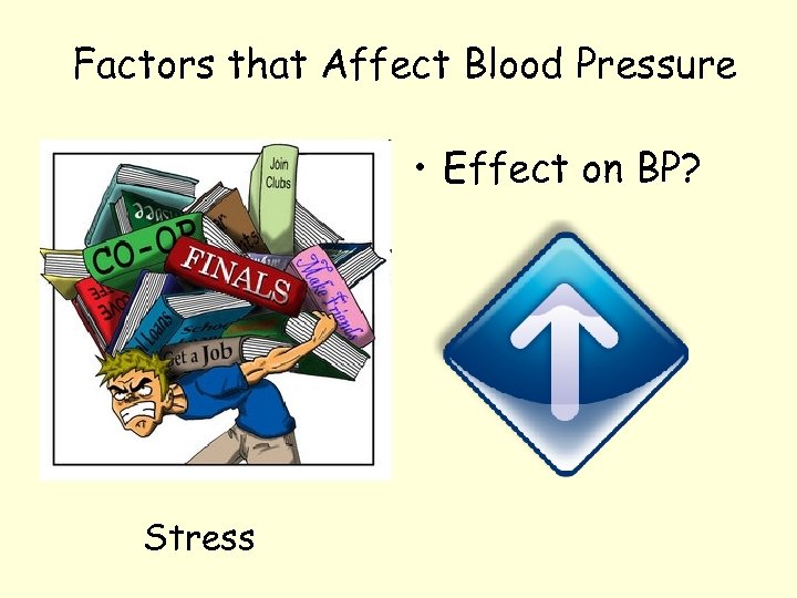 Factors that Affect Blood Pressure • Effect on BP? Stress 