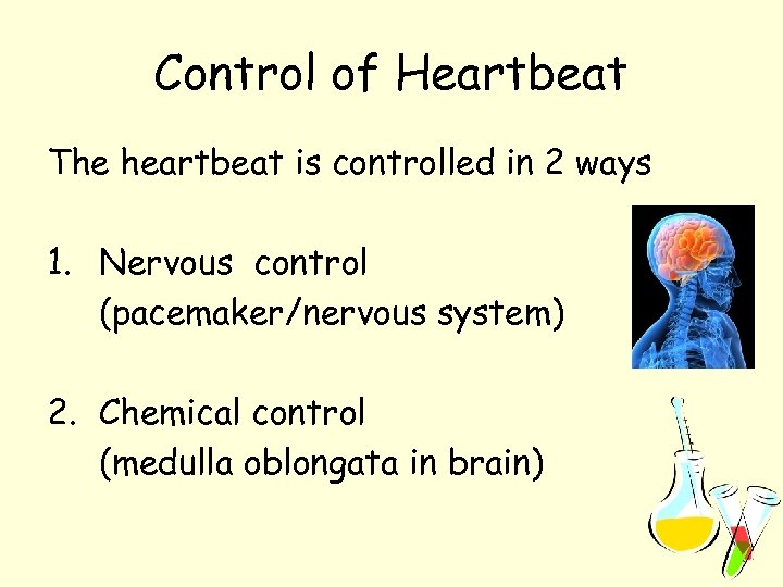 Control of Heartbeat The heartbeat is controlled in 2 ways 1. Nervous control (pacemaker/nervous