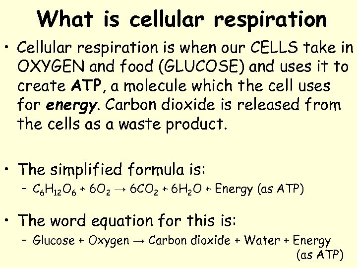 What is cellular respiration • Cellular respiration is when our CELLS take in OXYGEN