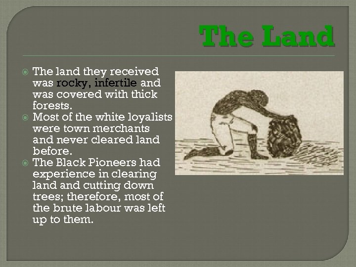 The Land The land they received was rocky, infertile and was covered with thick