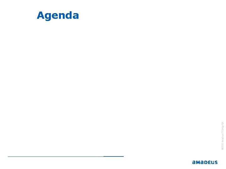 2006 © 2012 Amadeus IT Group SA Agenda 