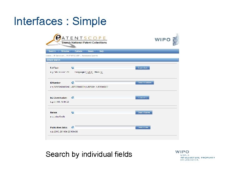 Interfaces : Simple Search by individual fields 