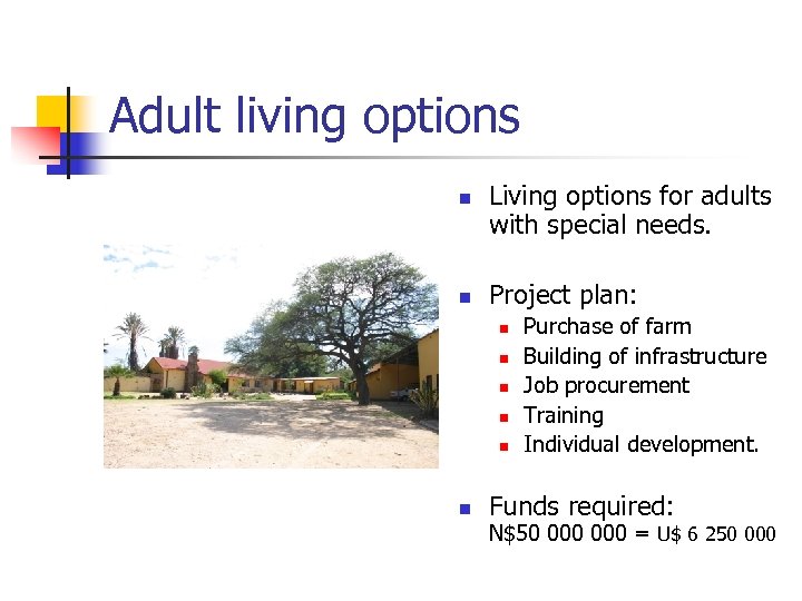 Adult living options n n Living options for adults with special needs. Project plan: