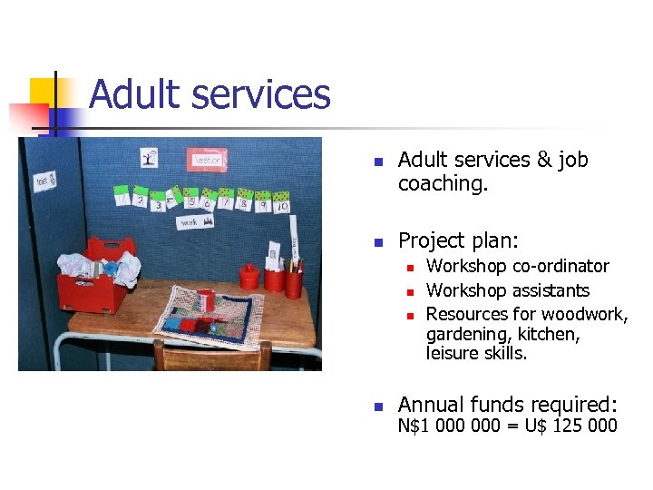 Adult services n n Adult services & job coaching. Project plan: n n Workshop