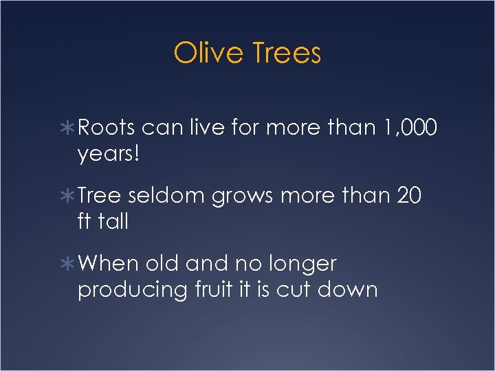 Olive Trees Ü Roots can live for more than 1, 000 years! Ü Tree