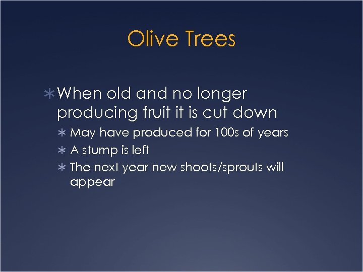 Olive Trees Ü When old and no longer producing fruit it is cut down