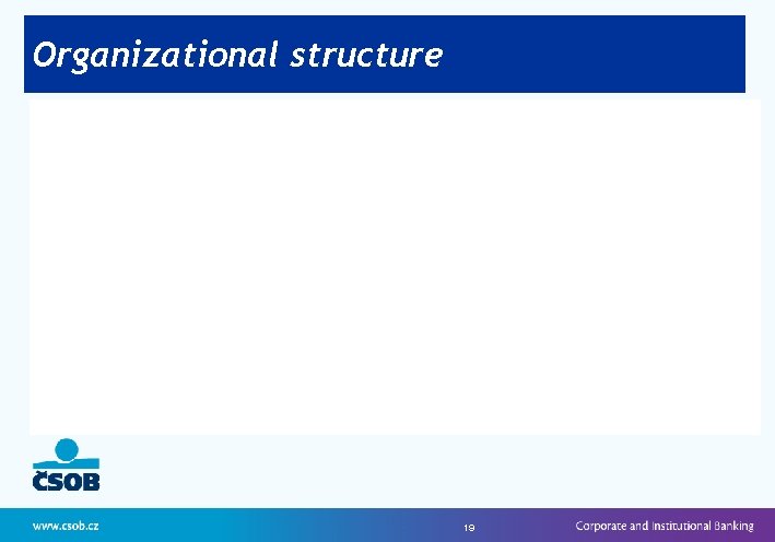 Organizational structure 19 