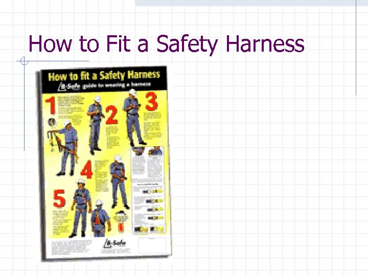 How to Fit a Safety Harness 