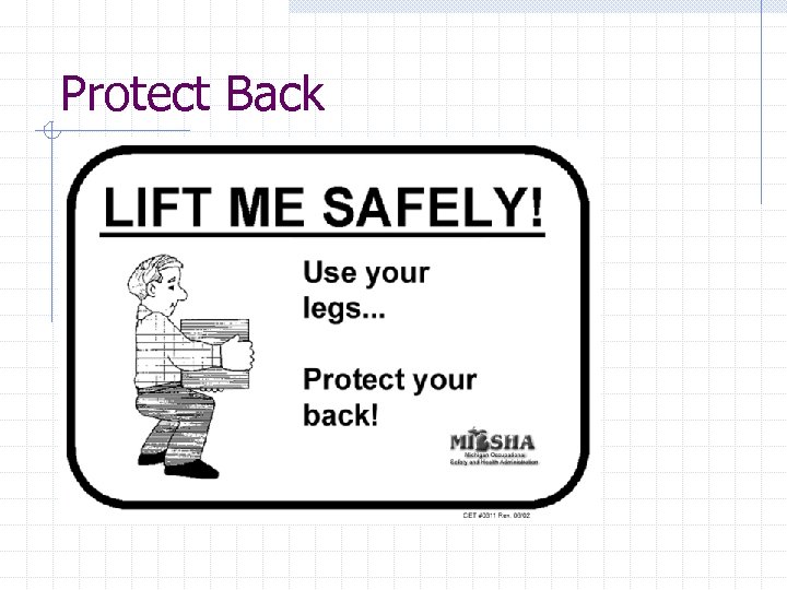 Protect Back 