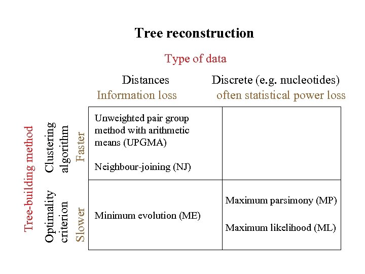 Tree reconstruction Type of data Clustering algorithm Faster Optimality criterion Slower Tree-building method Distances