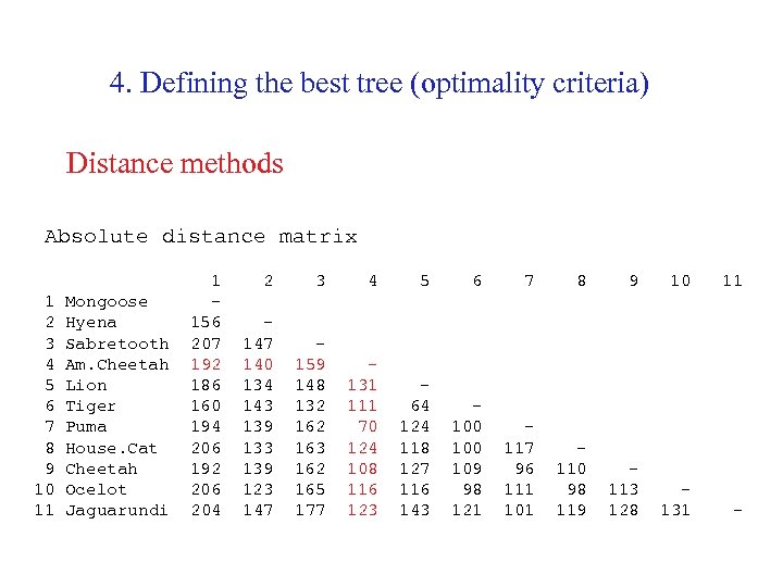 4. Defining the best tree (optimality criteria) Distance methods Absolute distance matrix 1 2
