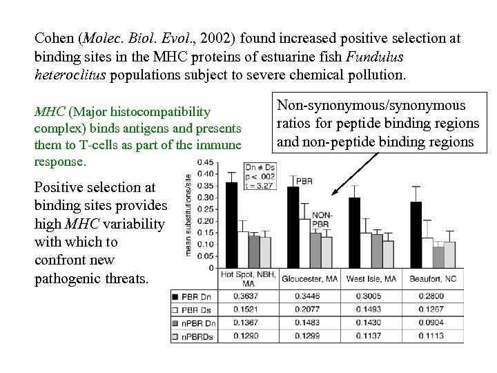 Cohen (Molec. Biol. Evol. , 2002) found increased positive selection at binding sites in