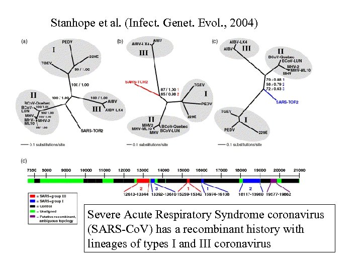 Stanhope et al. (Infect. Genet. Evol. , 2004) Severe Acute Respiratory Syndrome coronavirus (SARS-Co.