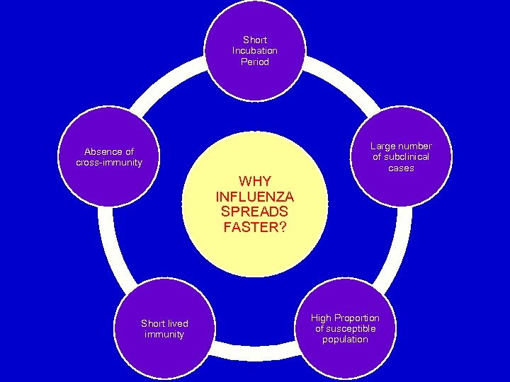 Short Incubation Period Large number of subclinical cases Absence of cross-immunity WHY INFLUENZA SPREADS