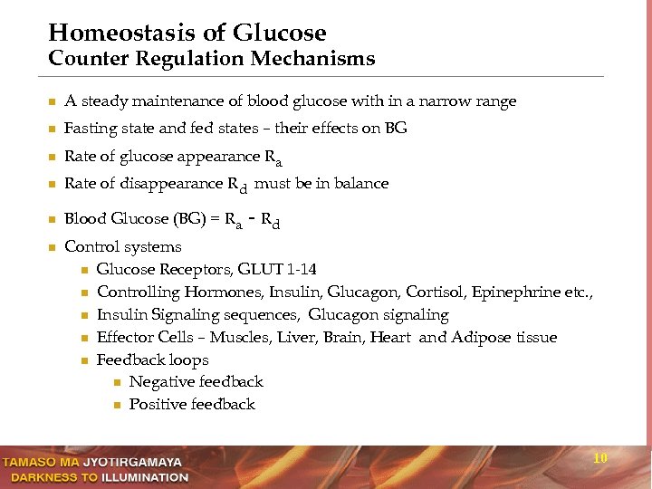 Homeostasis of Glucose Counter Regulation Mechanisms n A steady maintenance of blood glucose with