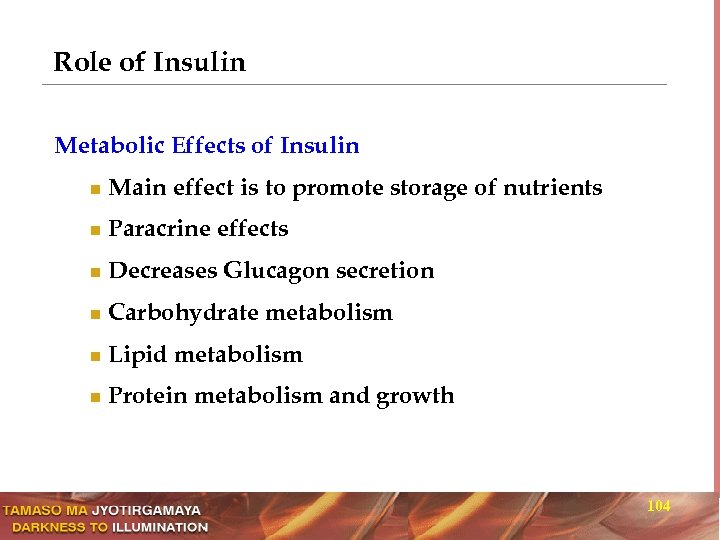 Role of Insulin Metabolic Effects of Insulin n Main effect is to promote storage
