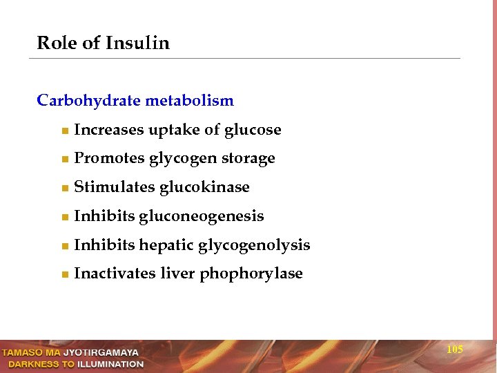 Role of Insulin Carbohydrate metabolism n Increases uptake of glucose n Promotes glycogen storage