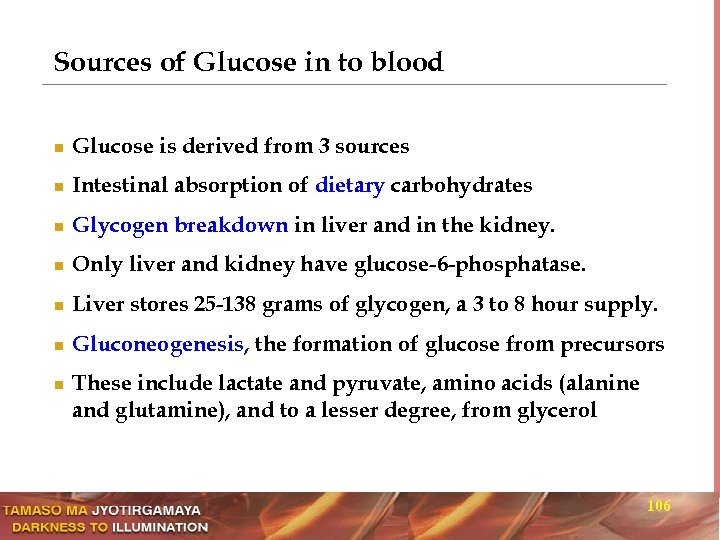 Sources of Glucose in to blood n Glucose is derived from 3 sources n