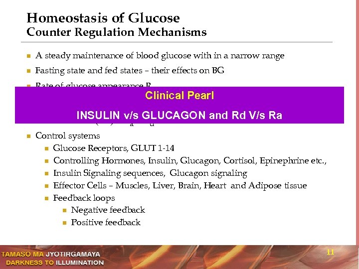 Homeostasis of Glucose Counter Regulation Mechanisms n A steady maintenance of blood glucose with