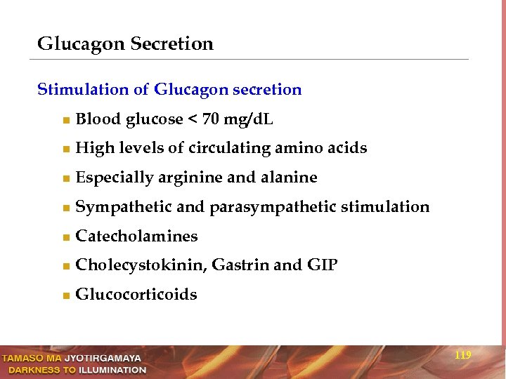 Glucagon Secretion Stimulation of Glucagon secretion n Blood glucose < 70 mg/d. L n