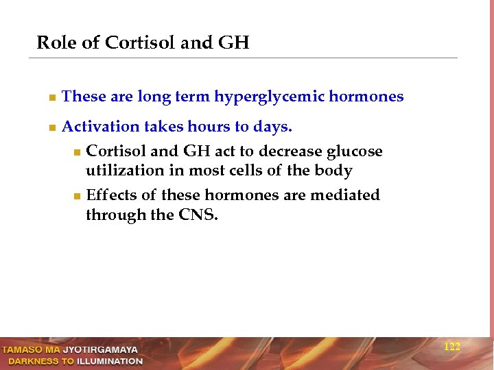Role of Cortisol and GH n n These are long term hyperglycemic hormones Activation