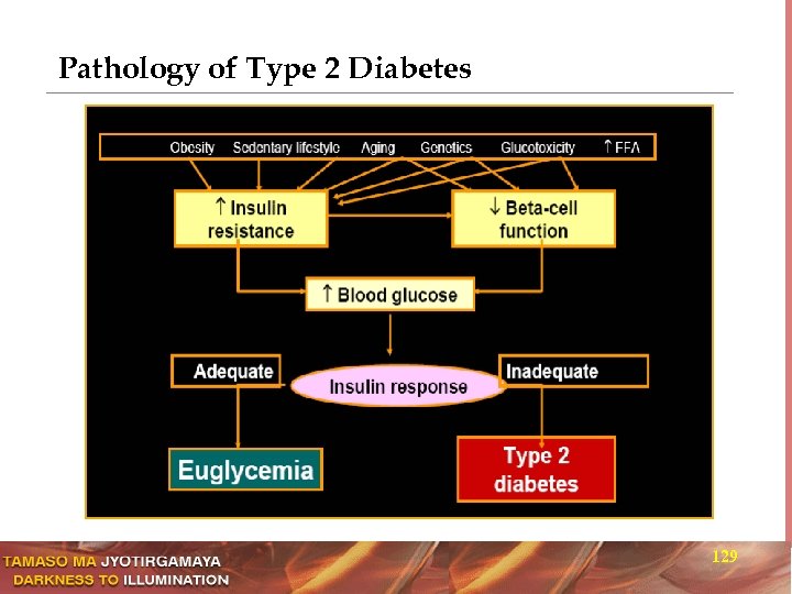 Pathology of Type 2 Diabetes 129 