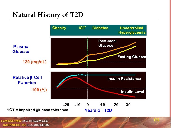 Natural History of T 2 D Obesity IGT* Diabetes Uncontrolled Hyperglycemia Post-meal Glucose Plasma