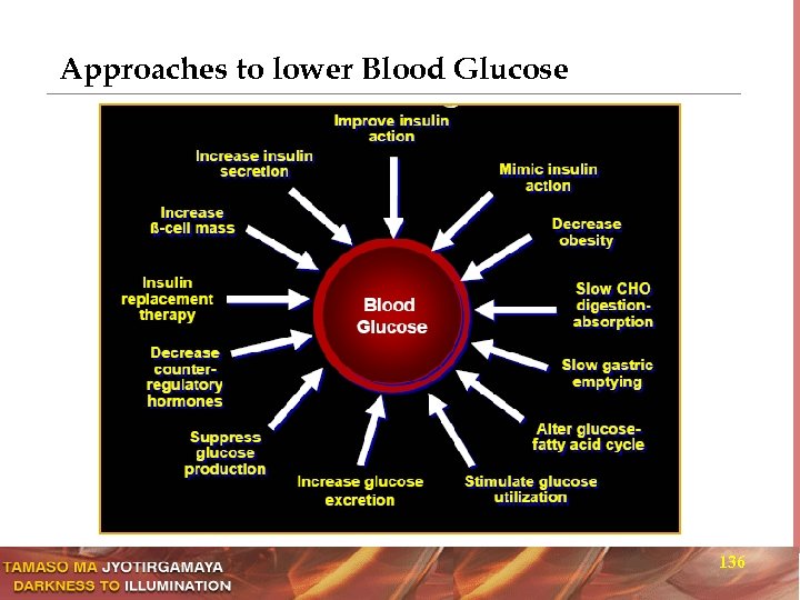 Approaches to lower Blood Glucose 136 