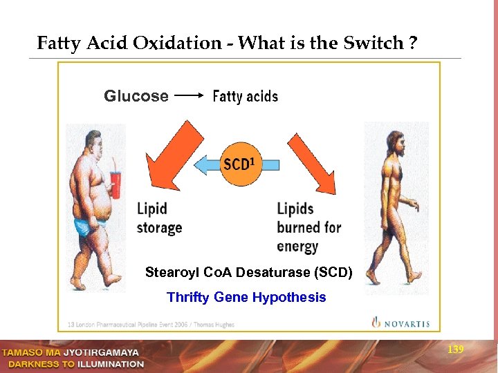 Fatty Acid Oxidation - What is the Switch ? Glucose Stearoyl Co. A Desaturase