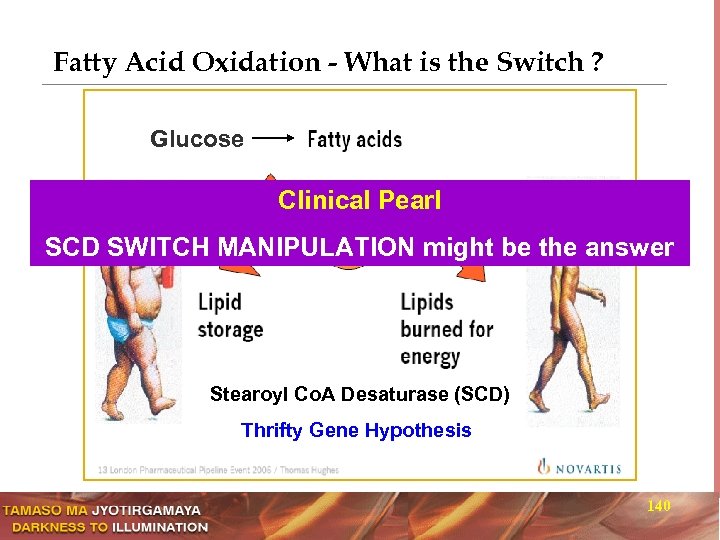 Fatty Acid Oxidation - What is the Switch ? Glucose Clinical Pearl SCD SWITCH