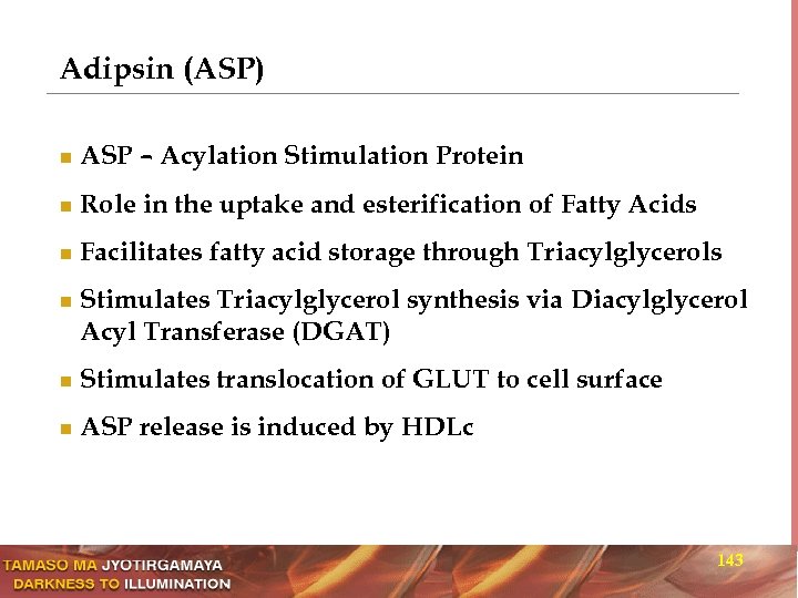 Adipsin (ASP) n ASP – Acylation Stimulation Protein n Role in the uptake and