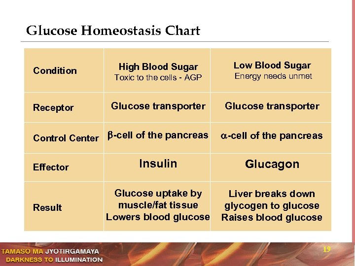 Glucose Homeostasis Chart Condition Receptor High Blood Sugar Toxic to the cells - AGP