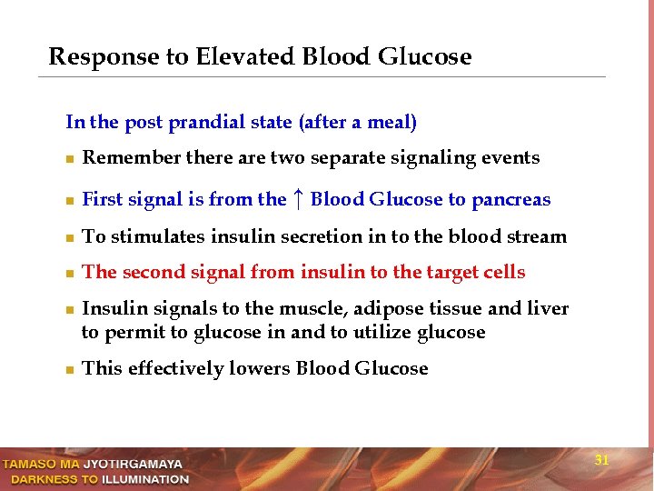 Response to Elevated Blood Glucose In the post prandial state (after a meal) n