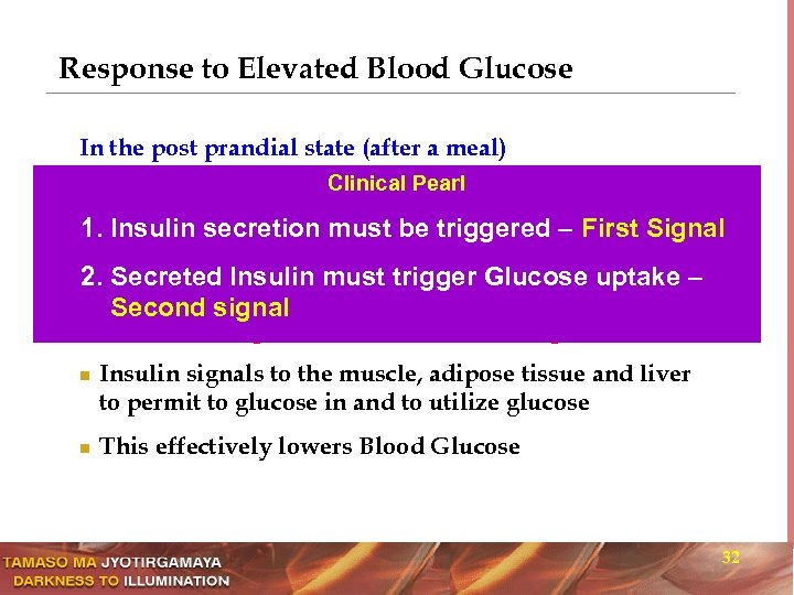 Response to Elevated Blood Glucose In the post prandial state (after a meal) n