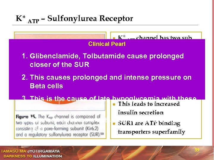 K+ ATP – Sulfonylurea Receptor K+ ATP channel has two sub Clinical Pearl –