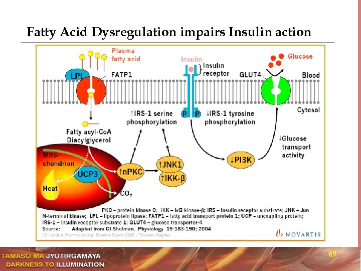 Fatty Acid Dysregulation impairs Insulin action 69 