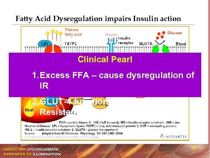 Fatty Acid Dysregulation impairs Insulin action Clinical Pearl 1. Excess FFA – cause dysregulation