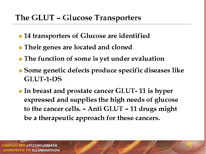 The GLUT – Glucose Transporters n 14 transporters of Glucose are identified n Their