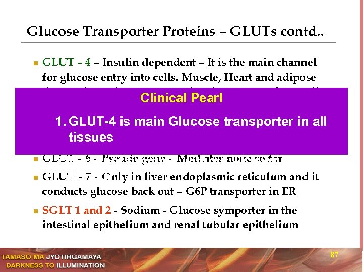 Glucose Transporter Proteins – GLUTs contd. . n GLUT – 4 – Insulin dependent