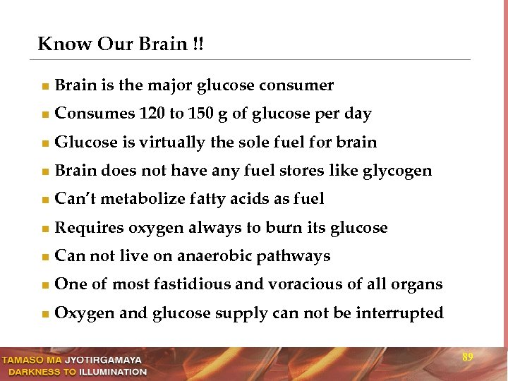 Know Our Brain !! n Brain is the major glucose consumer n Consumes 120
