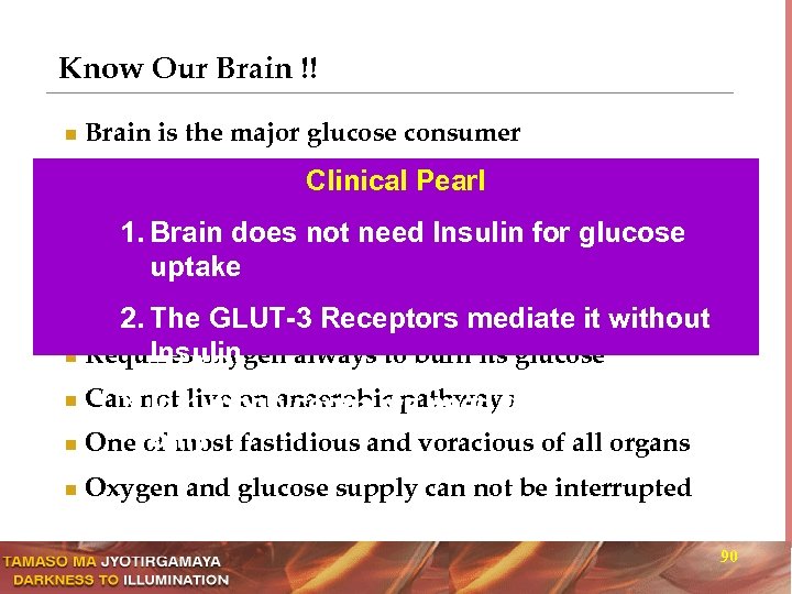 Know Our Brain !! n Brain is the major glucose consumer n Consumes 120