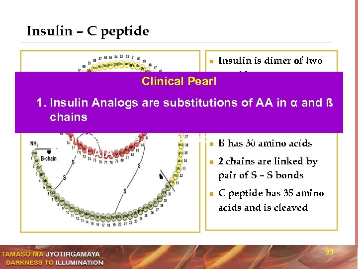 Insulin – C peptide n Clinical Pearl 1. Insulin Analogs are chains Insulin is