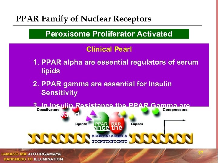 PPAR Family of Nuclear Receptors Peroxisome Proliferator Activated Receptors Clinical Pearl 1. PPAR alpha