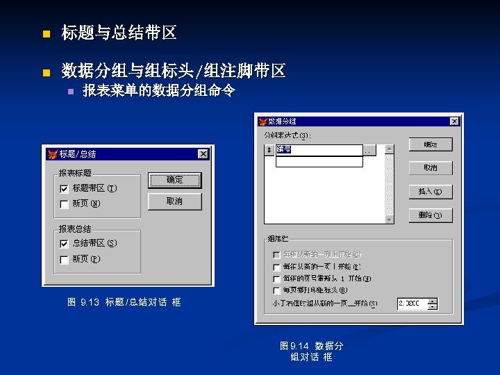 n 标题与总结带区 n 数据分组与组标头/组注脚带区 n 报表菜单的数据分组命令 图 9. 13 标题 /总结对话 框 图 9.