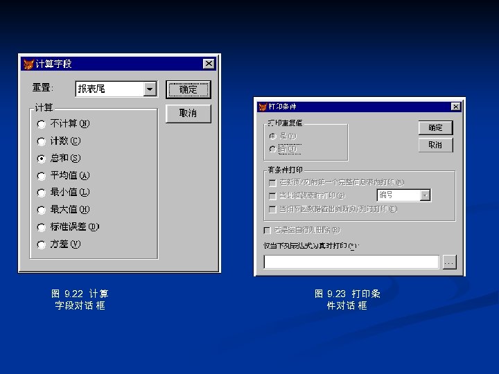 图 9. 22 计 算 字段对话 框 图 9. 23 打印条 件对话 框 